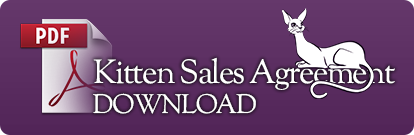 Download Our Kitten Sales Agreement