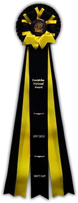 Cornish Rex National Award 2011-2012 Best Cat